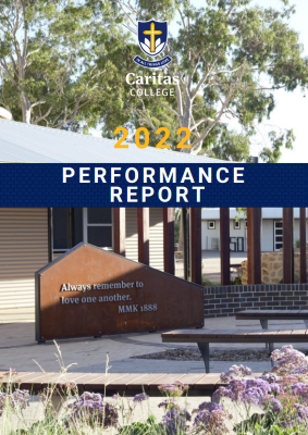 Performance Report Image.png