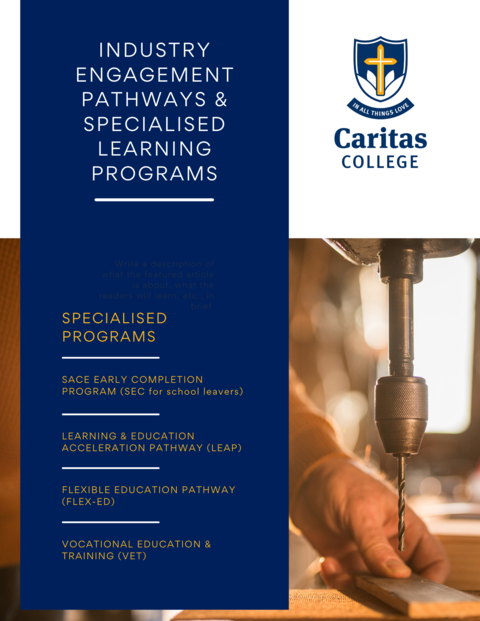 Industry Engagement Pathways & Specialised Learning Programs.png