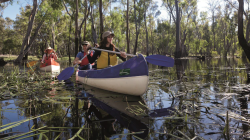 Canoe trip.png